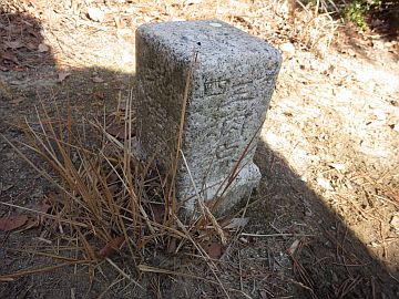 20160116-120254.jpg 20160116-120254.jpg