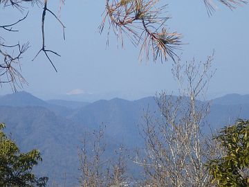 20160116-123159.jpg 20160116-123159.jpg