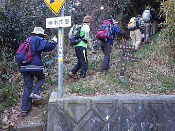 20160116-144304.jpg 20160116-144304.jpg