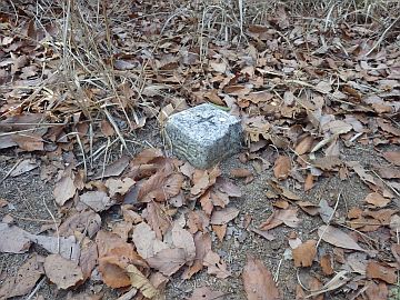 20160116-145936.jpg 20160116-145936.jpg
