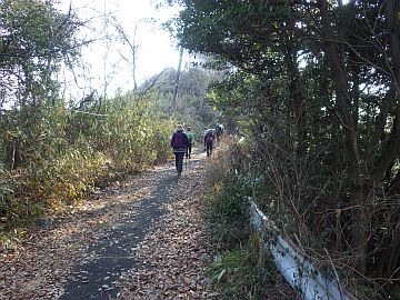 20160116-150047.jpg 20160116-150047.jpg