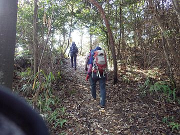20160123-094150.jpg 20160123-094150.jpg