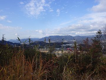 20160123-100035.jpg 20160123-100035.jpg