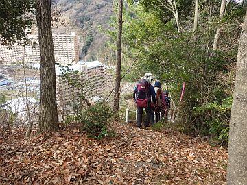20160123-105642.jpg 20160123-105642.jpg