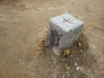 20160123-113836.jpg 20160123-113836.jpg