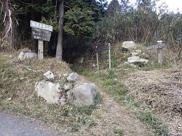 20160206-104741.jpg 20160206-104741.jpg