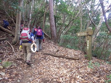 20160206-113411.jpg 20160206-113411.jpg