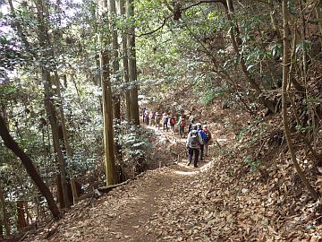 20160206-125025.jpg 20160206-125025.jpg