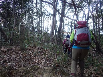 20160206-131929.jpg 20160206-131929.jpg
