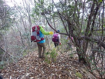 20160206-132106.jpg 20160206-132106.jpg