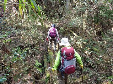 20160206-133611.jpg 20160206-133611.jpg