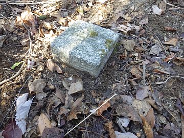 20160211-103033.jpg 20160211-103033.jpg