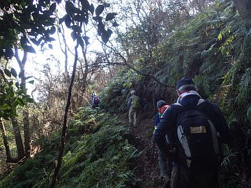 20160211-120617.jpg 20160211-120617.jpg
