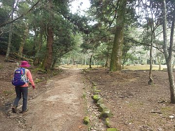 20160305-095307.jpg 20160305-095307.jpg