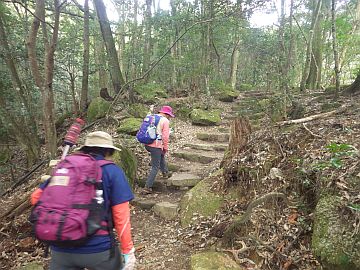 20160305-100549.jpg 20160305-100549.jpg