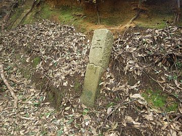 20160305-100929.jpg 20160305-100929.jpg