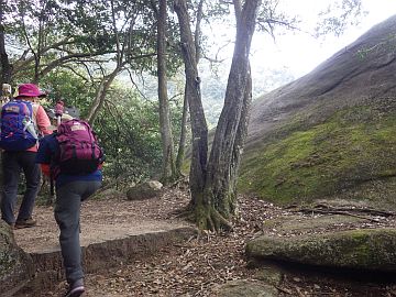 20160305-101717.jpg 20160305-101717.jpg