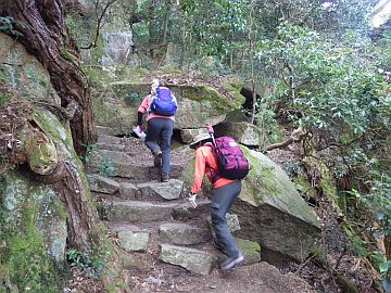 20160305-110127.jpg 20160305-110127.jpg
