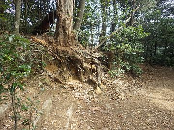 20160305-111437.jpg 20160305-111437.jpg