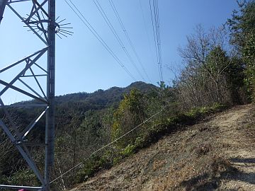 20160326-095044.jpg 20160326-095044.jpg