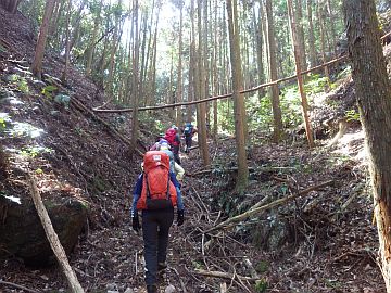 20160326-100811.jpg 20160326-100811.jpg