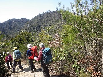 20160326-110621.jpg 20160326-110621.jpg