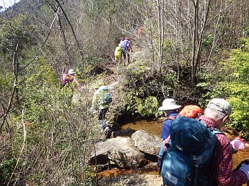20160326-111134.jpg 20160326-111134.jpg