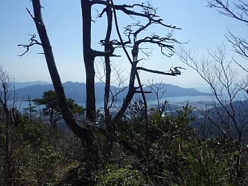 20160326-113935.jpg 20160326-113935.jpg