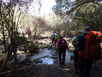 20160326-125600.jpg 20160326-125600.jpg