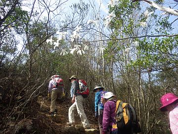 20160402-095348.jpg 20160402-095348.jpg