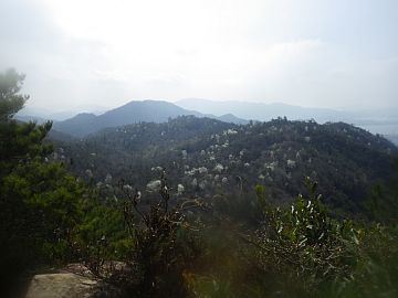 20160402-101246.jpg 20160402-101246.jpg
