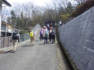 20160402-121023.jpg 20160402-121023.jpg