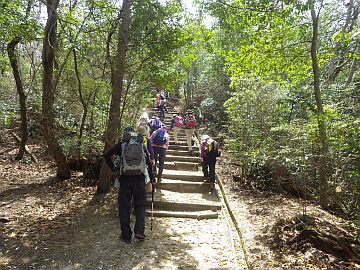 20160402-121344.jpg 20160402-121344.jpg