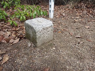 20160402-125349.jpg 20160402-125349.jpg