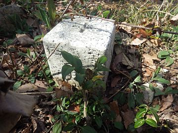 20160402-142354.jpg 20160402-142354.jpg
