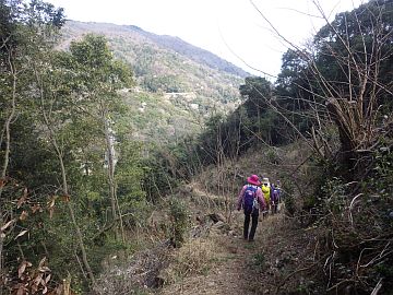 20160402-143208.jpg 20160402-143208.jpg