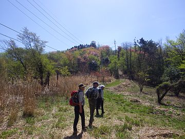 20160416-103650.jpg 20160416-103650.jpg