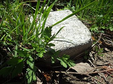 20160416-105119.jpg 20160416-105119.jpg