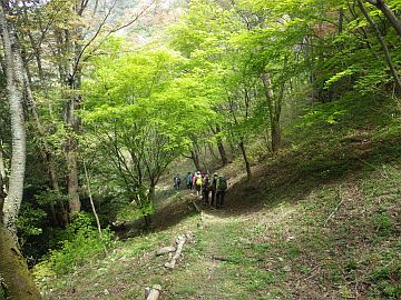20160416-112206.jpg 20160416-112206.jpg