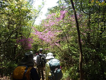 20160416-120122.jpg 20160416-120122.jpg