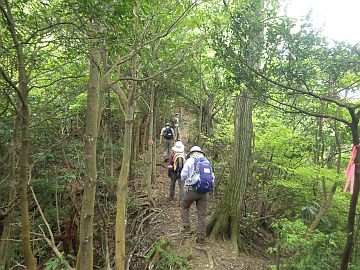 20160423-095640.jpg 20160423-095640.jpg