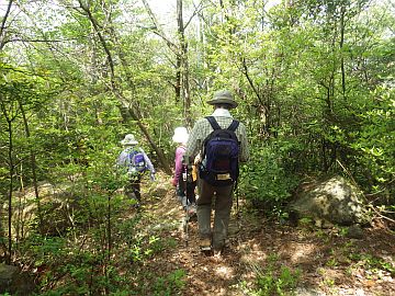 20160423-105233.jpg 20160423-105233.jpg