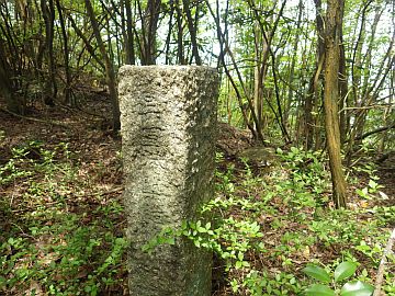 20160423-111248.jpg 20160423-111248.jpg