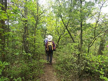 20160423-112005.jpg 20160423-112005.jpg