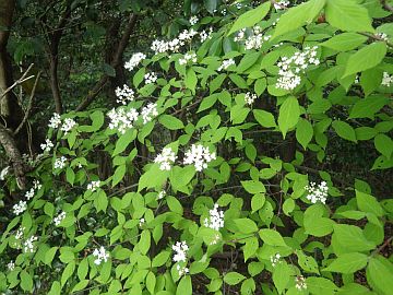 20160423-120728.jpg 20160423-120728.jpg