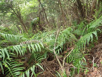 20160423-121402.jpg 20160423-121402.jpg