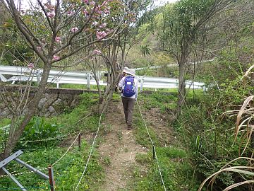 20160423-131940.jpg 20160423-131940.jpg
