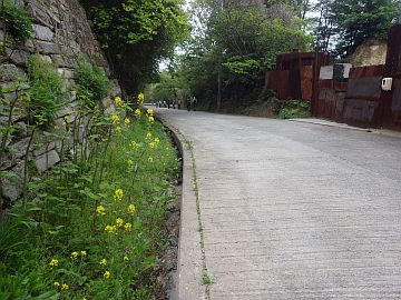 20160423-132417.jpg 20160423-132417.jpg