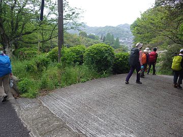 20160423-143656.jpg 20160423-143656.jpg