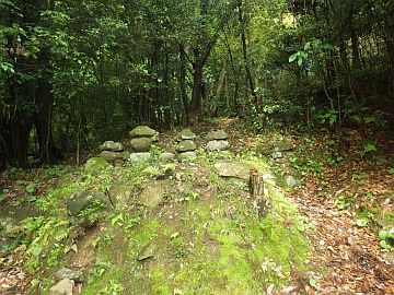 20160507-093335.jpg 20160507-093335.jpg